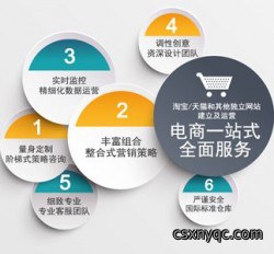 商城店铺代运营